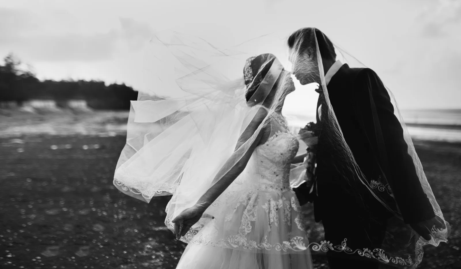 Wedding gallery photo 6
